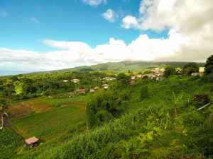 Morne rouge martinique