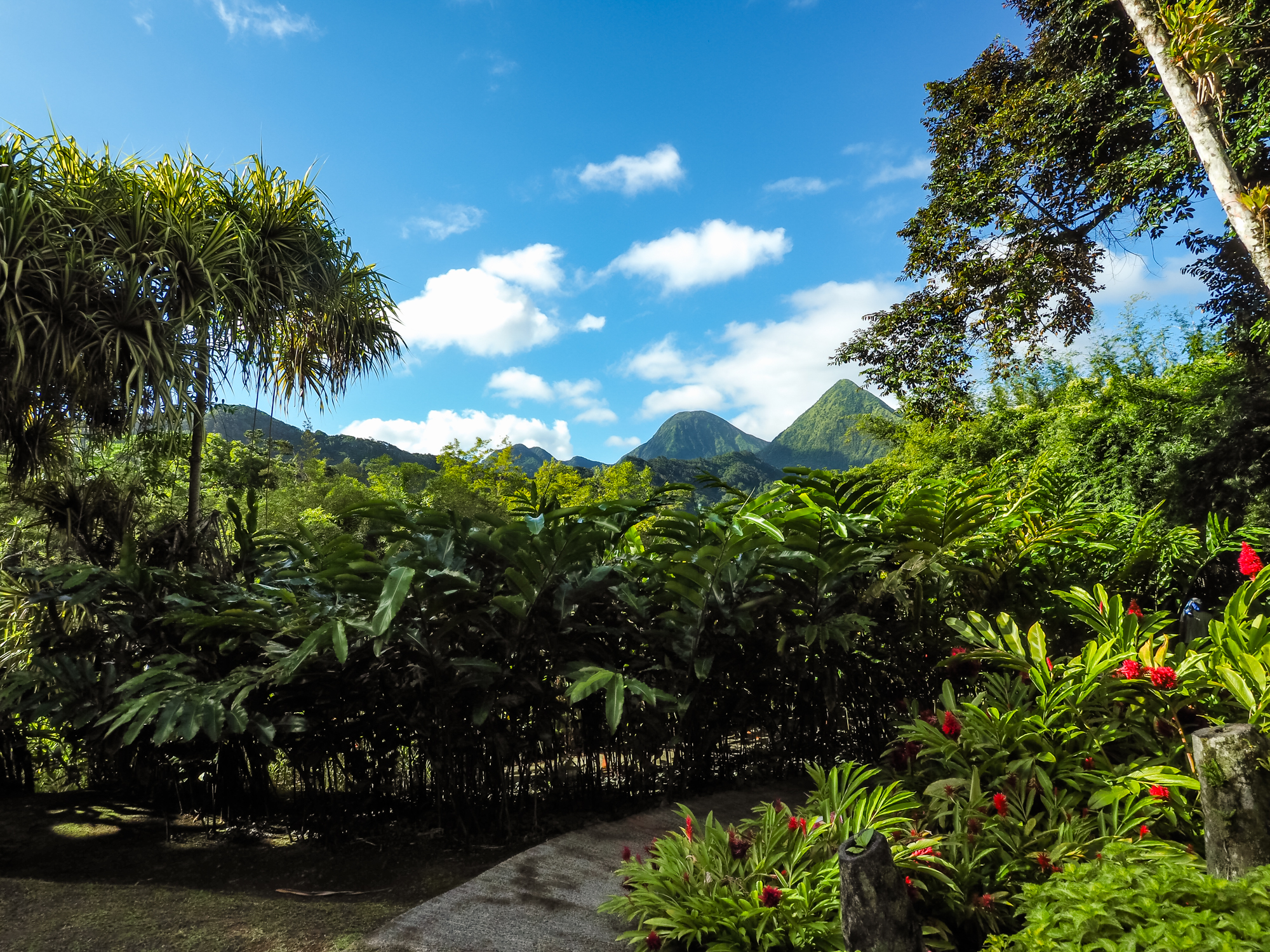 Jardin de balata Martinique